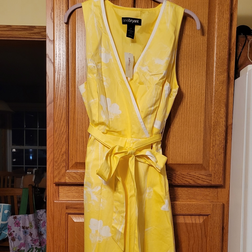 Women's Lane Bryant Dress